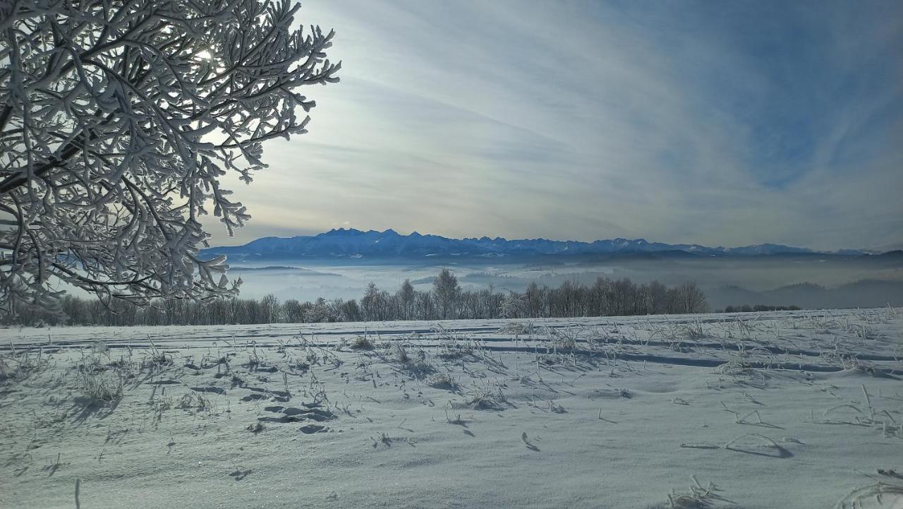 U Halinki Apartment Czorsztyn Bagian luar foto